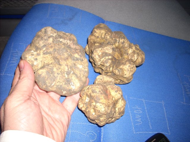 2012_11_20 9